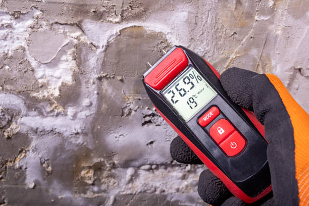 Best Industrial Mold Remediation in Biscayne Park, FL
